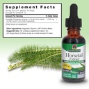 nature-s-answer-horsetail-herb-capsules--3.jpg