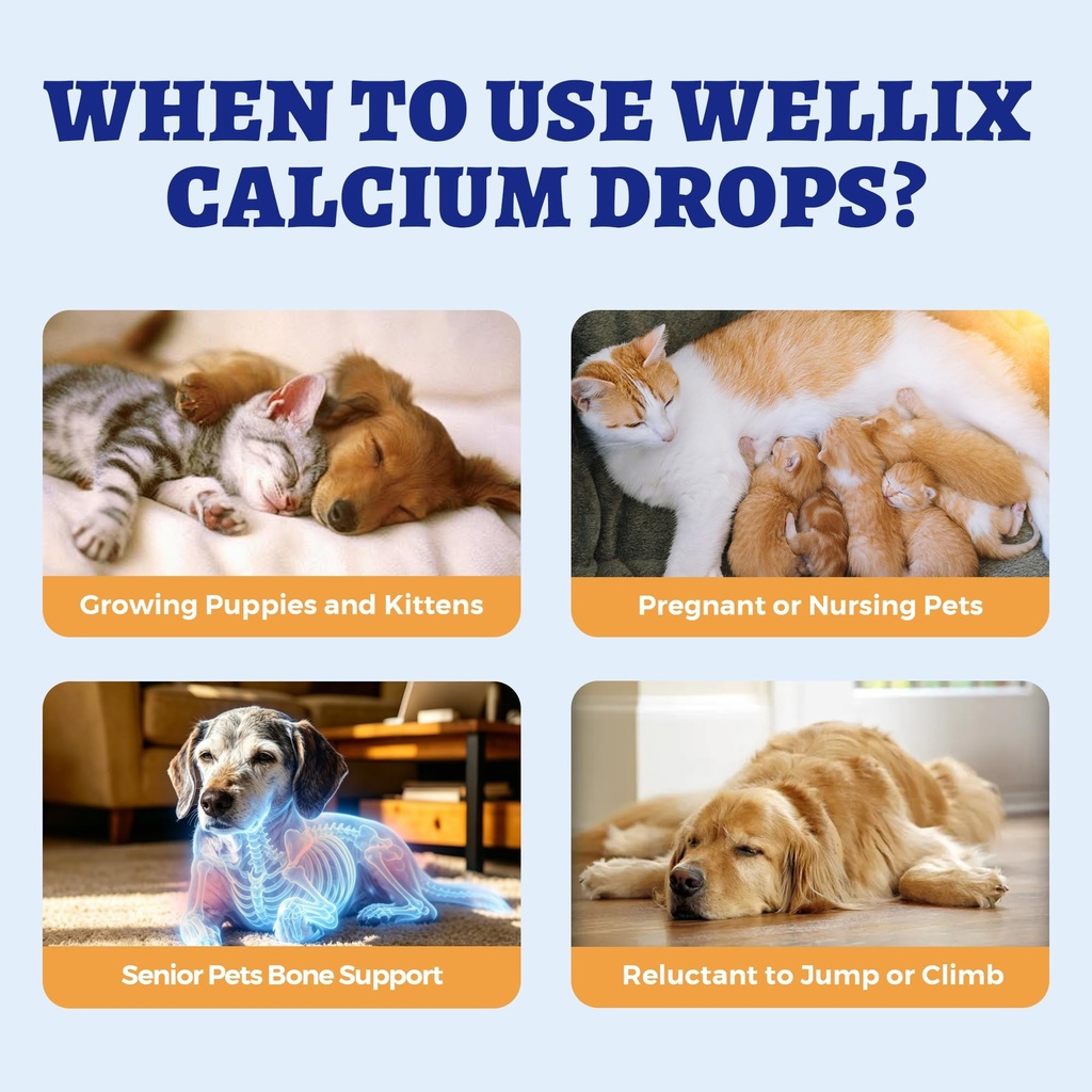 wellix-4-06-fl-oz-calcium-liquid-for-dog-4.jpg