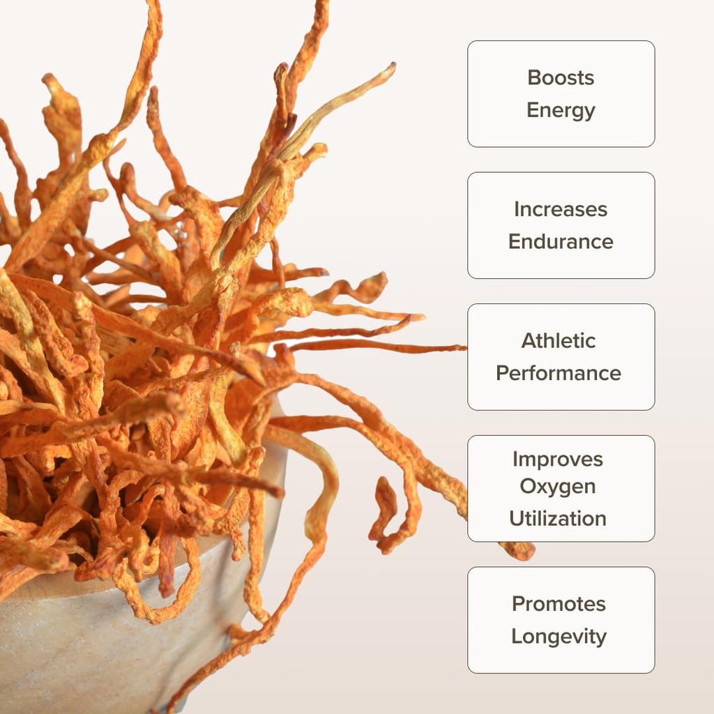 cordyceps-mushroom-capsules-by-bloomable-2.jpg