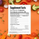 syndigest-probiotic-daily-care-for-women-4.jpg