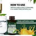 polypodium-leucotomos-immune-support-dro-4.jpg