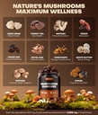 10-in-1-mushroom-gummies-with-ksm-66-ash-2.jpg