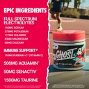 ghost-hydration-tub-electrolyte-powder-s-3.jpg