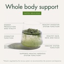 welleco-the-super-elixir-daily-greens-po-6.jpg