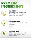 sea-moss-gummies-irish-sea-moss-raw-orga-3.jpg