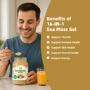 sea-moss-gel-18-5-oz-irish-seamoss-gel-w-3.jpg