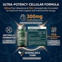 coq10-300mg-supplement-high-potency-coen-6.jpg