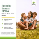 terry-naturally-propolis-extract-ep300-u-3.jpg