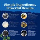 bundle-of-fertility-supplement-semen-vol-6.jpg