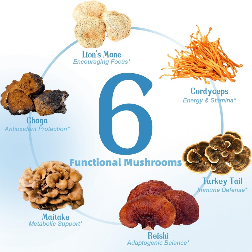 mushroom-coconut-creamer-with-bovine-col-3.jpg