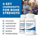 vitaminerals-95-primacal-bone-support-ma-2.jpg