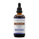 Secrets of the Tribe Burdock Liquid Extract for Skin & Liver Detox Support | Herbal Supplement | Alcohol-Free | Arctium lappa Dried Root | Drops 4 fl oz