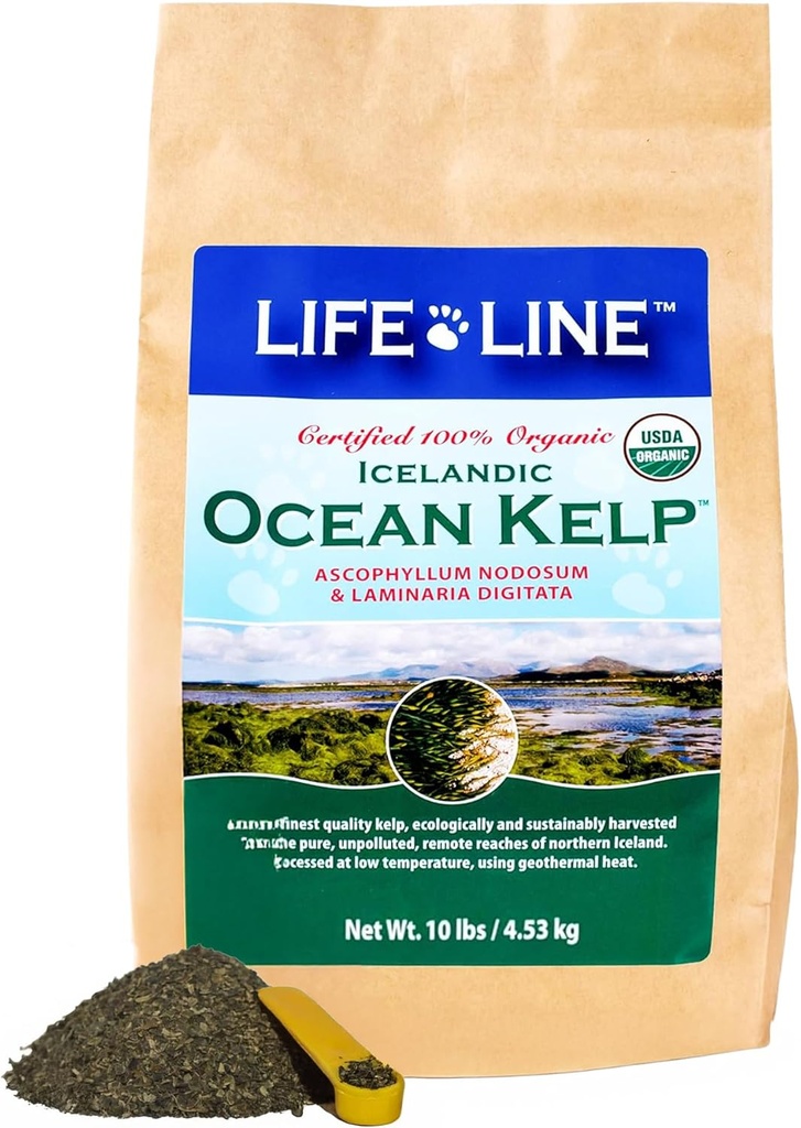 Life Line Bio Ocean Canister Kelp für Katzen, Hunde, Vieh und Pferde | Unterstützt Haut, Fleisch & Immune Gesundheit – Reduziert Tartar, Plaque & Shedding – Erhöht Stoffwechsel und hilft Verdauung -10 lb
