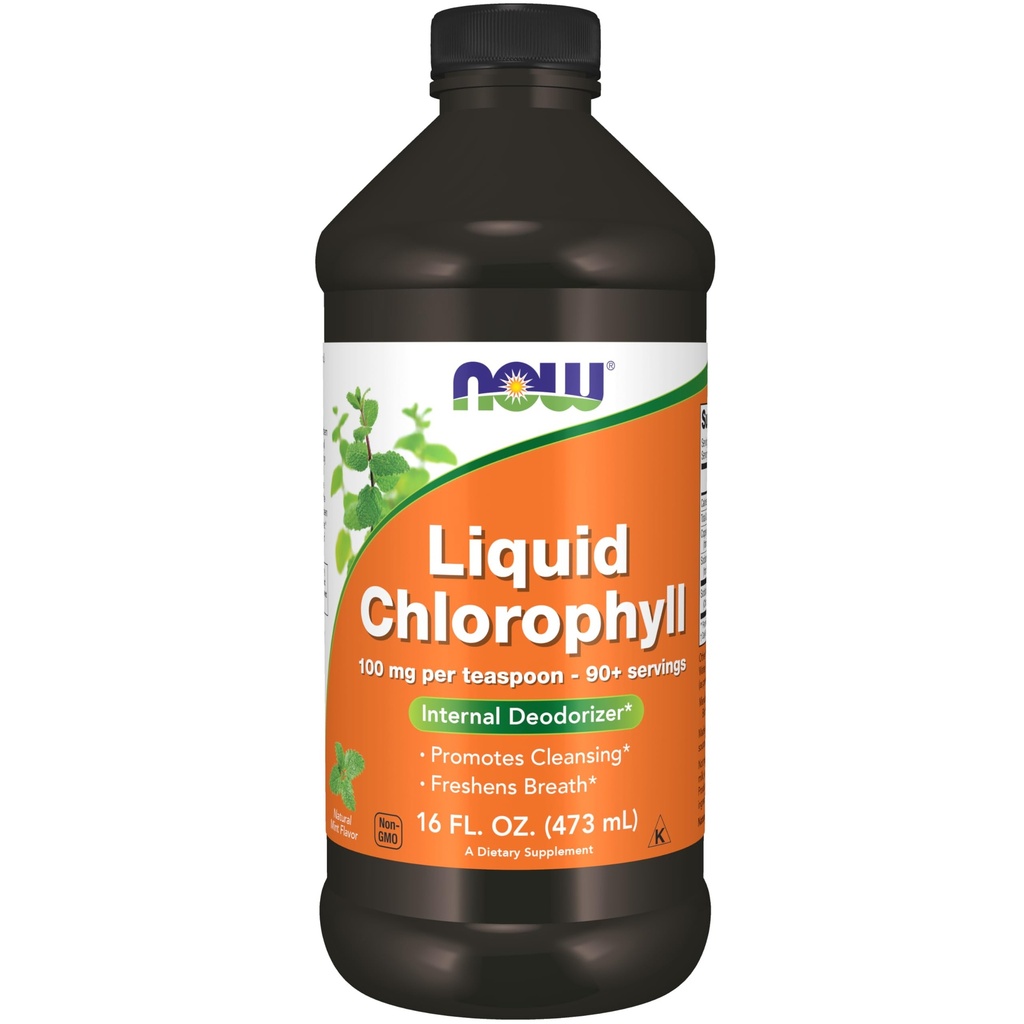 JETZT Nahrungsergänzungsmittel, flüssige Chlorophyll, Super Konzentrat, interner Deodorizer*,Boost Energy, Mint Flavor, 16-Ounce