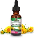 Natur Antwort Elecampane Root mit Bio-Alkohol, 1-Fluid Ounce