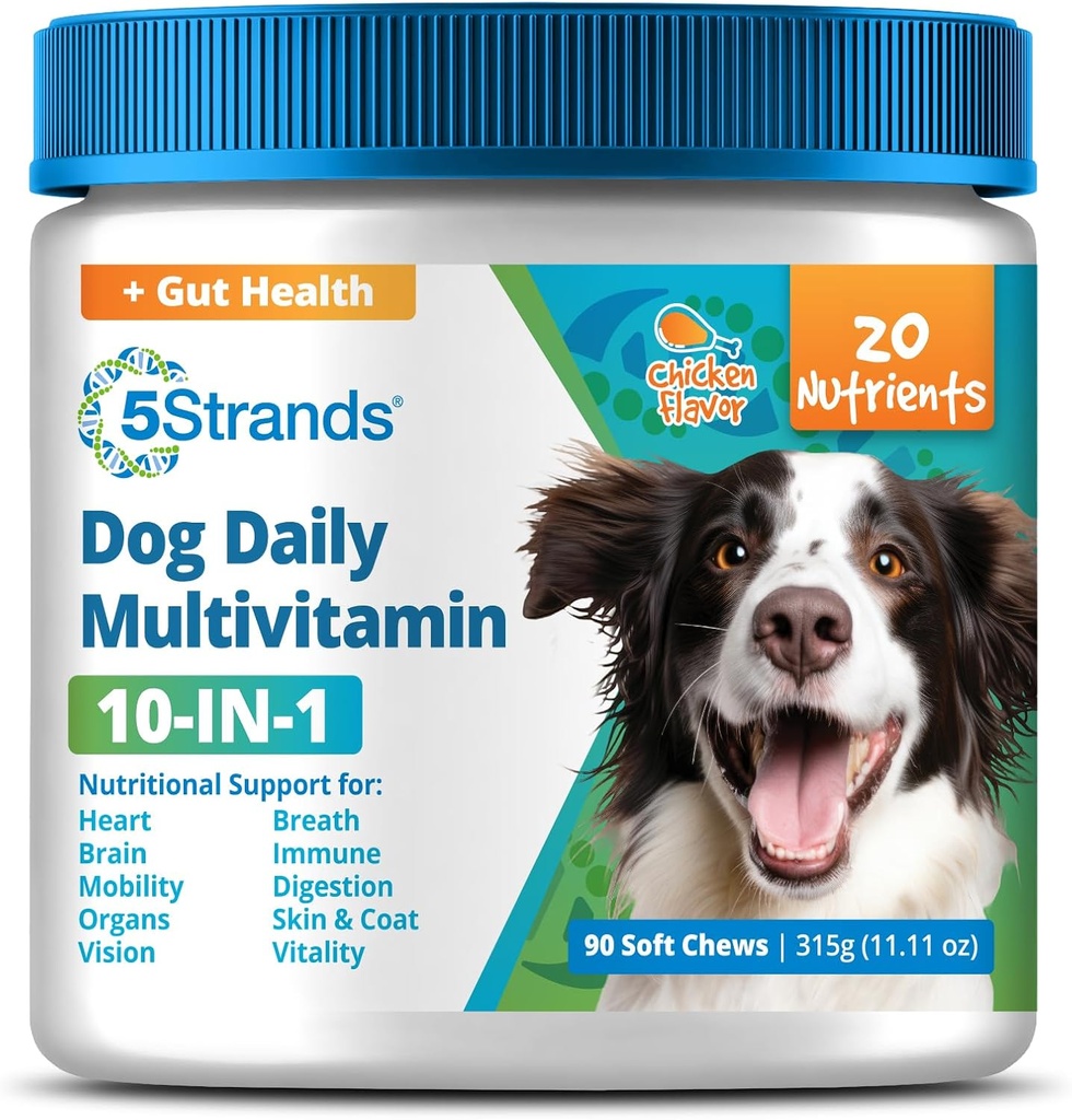 5Strands Dog Multivitamin Chews, 10-in-1, Vitamine & Postbiotics, All Ages & Breeds - Verdauung, Gehirn, Organe, Herz, Mobilität, Vision, Haut & Coat, Immungesundheit - Hundeergänzung (Hühner, 90ct)
