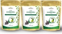 Kaunch Beej Powder – Natürliche Ayurvedische Kräuter für tägliche Wellness | 100% Pure & Vegan 100g Jede(Pack mit 3)