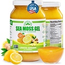 Wildcrafted Irish Sea Moss Gel | Made in USA | Rich in Vitamine & Minerals | Sea Moss Gel Raw | Nutritional Supplement | Lemon Ginger (16 oz)