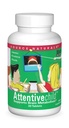 Quelle Naturals Attentives Kind - Gesunde kognitive Nährstoffe für aktive Kinder - Verbesserte Konzentration und Aufmerksamkeit mit DMAE, Magnesium, Zink & Trauben-Extrakt - 30 Tabletten