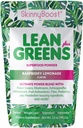 SkinnyBoost - Lean Greens & Super Food Powder - Ultimate Power Blend mit grünem Tee, Pilzmischung, Ashwagandha, Spirulina Algae & Wholefoods - Natural Detox & Clean Energy - 30 Portionen -12 Oz