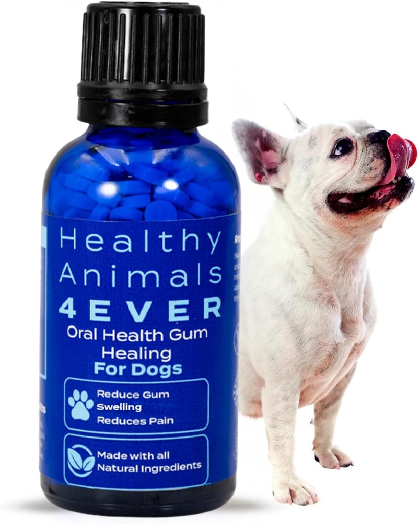 HA4E - Hunde Mund-Gesundheits-Ergänzung - Relieves Entzündung, Beruhigt Schmerzen & Kämpfe Gum-Krankheit - Natürlich, Non-GMO, Organisch, Glutenfrei & Chemikalienfrei - 300 Tabletten