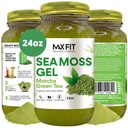 Sea Moss Gel Matcha Green Tea 24oz Wildсrafted Gold Sea Moss Gel from Saint Lucia | 92 Vitamins and Minerals | Pure Raw+Non-GMO
