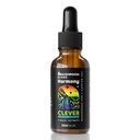 6 Blend Pilz-Flüssig-Extrakt, US Grown Mushrooms Alkoholfrei, Natürliche Energie, kognitive Unterstützung, Immunität Boost,100% Fruchtkörper, Lion's Mane, Cordyceps, Reishi, Chaga, Türkei Tail (1 fl oz)
