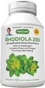 ANDREW LESSMAN Rhodiola Rosea 250mg - 60 Capsules - Standardized Extract. Natural Adaptogen. Combats Stress and Fatigue. Promotes Healthy Well Being. No Additives. Small Easy to Swallow Capsules