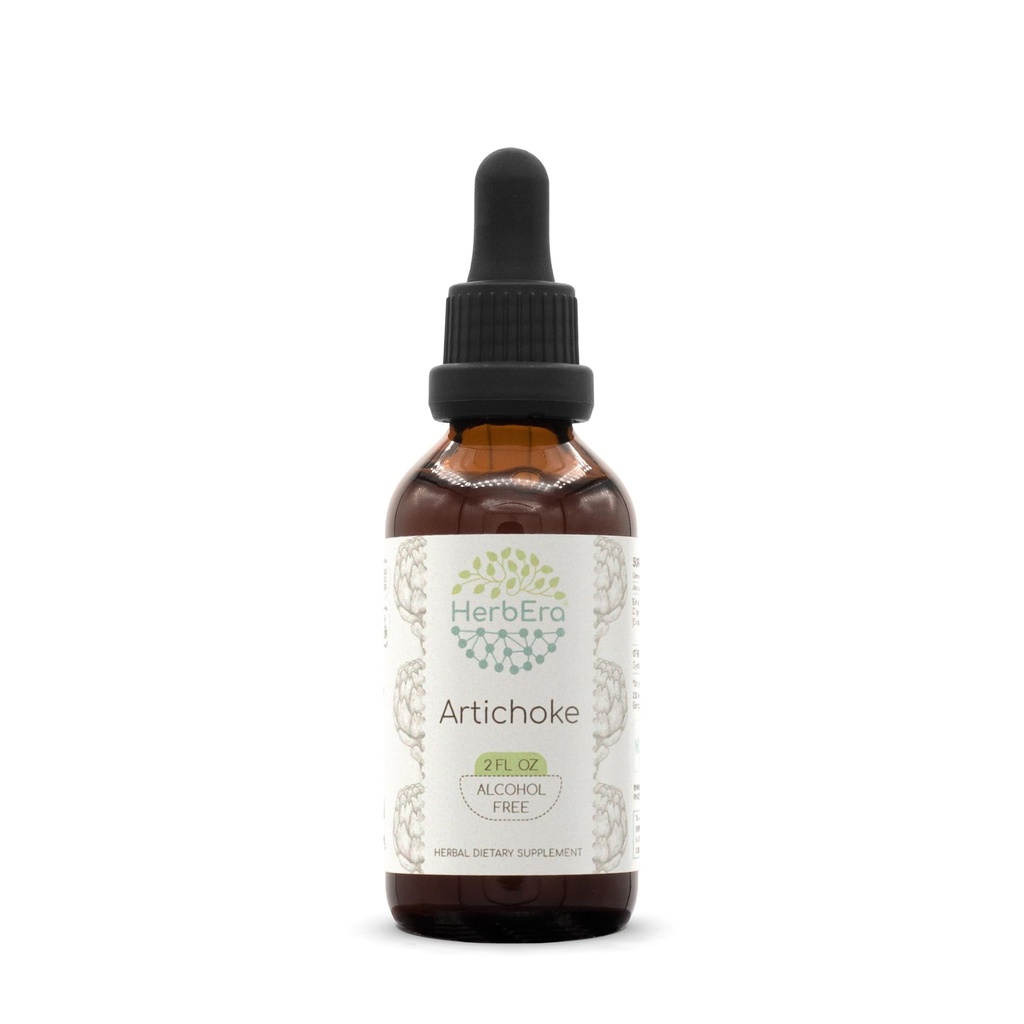 HerbEra Artichoke B60 Alcohol-Free Herbal Extract Tincture, Concentrated Liquid Drops Natural Artichoke (Cynara scolymus) (2 fl oz)