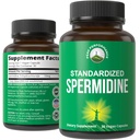 Spermidin Supplement Ultra High Strength Standardisiert auf 99% Spermidin Trihydrochlorid. Mehr Potent als Weizen Germ Extrakt. Vegan Kapseln für gesundes Altern, Langlebigkeit. USA Geprüfte Beilagen