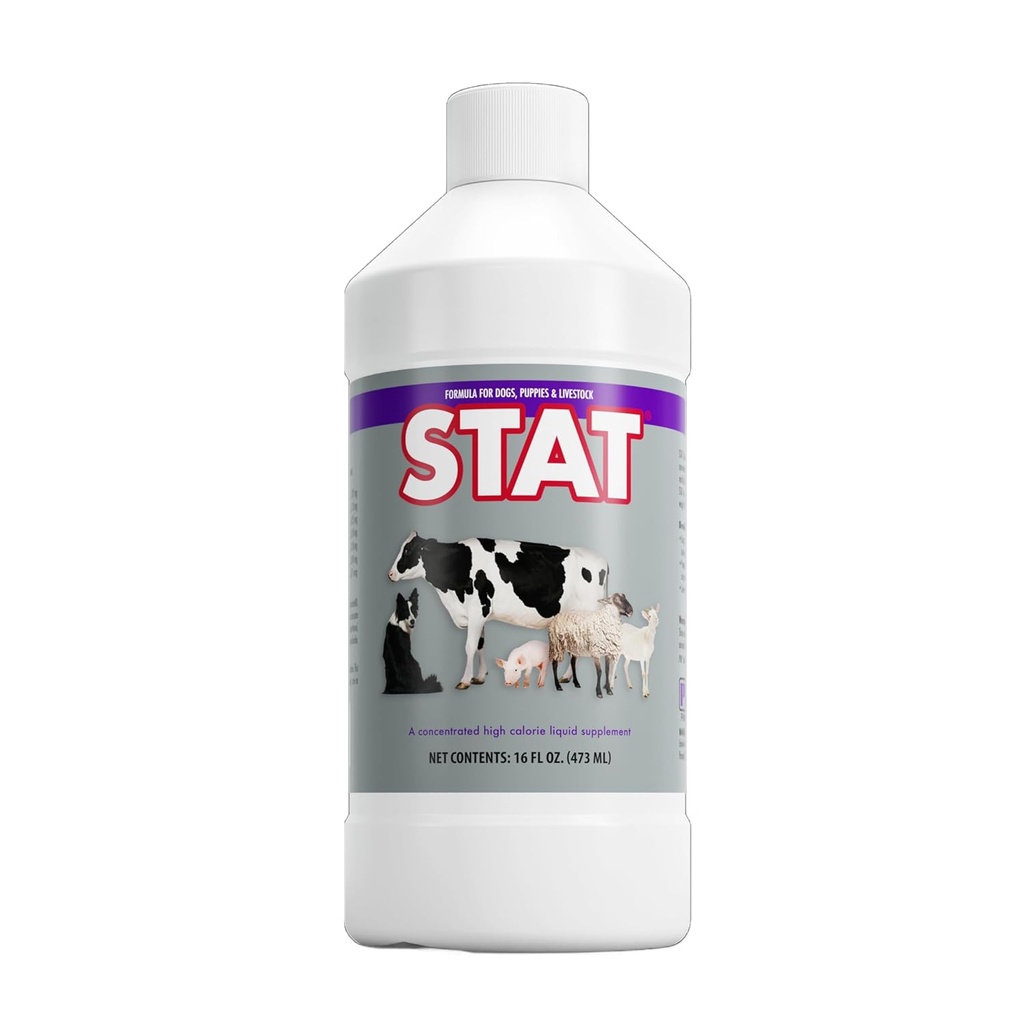 PRN Pharmacal STAT - High Calorie Nahrungsergänzungsmittel zur Wiederherstellung von Feuchtigkeits- und Ernährungsniveaus bei Tieren - Vanilla Flavored Ernährungsunterstützung mit Vitamin A, D3, C, E, & More - 16 Fl Oz