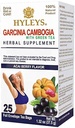 HYLEYS Tee Garcinia Cambogia Grüner Tee mit Acai Berry Flavor - 25 Teebeutel