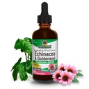 Natur Antwort Echinacea & Goldenseal mit Bio Alkohol, 2-Fluid Unzen