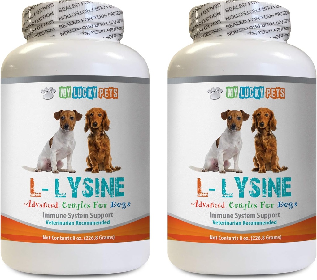 Knochen- und Gelenkgesundheit für Hunde - Hunde LYSINE Pulver - reine Pulverform - Immunsystemunterstützung - Vet empfohlen - Lysin Bulk - 2 Flasche (16oz 453.6 Gramm)