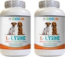 Knochen- und Gelenkgesundheit für Hunde - Hunde LYSINE Pulver - reine Pulverform - Immunsystemunterstützung - Vet empfohlen - Lysin Bulk - 2 Flasche (16oz 453.6 Gramm)
