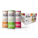 Reneva Collagen Protein Drink - 10g Collagen Peptide, Elektrolyte, B-Vitamine, Zink und Zero Sugar (Variety Pack)
