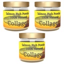 Salcoll Collagen - 100% natürliches bioaktives marines Kollagenpulver - Unflavored, Kosher, kann helfen Knochen, Gelenk, Haut, Haargesundheit, 3 Packung, drei Monate Versorgung
