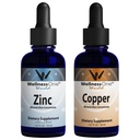 WellnessOne Ionic Liquid Zinc & Liquid Copper - Zink-Kupfer Bundle zur Unterstützung Immunsystem & Joint, Nerve & Bone Health - 1,67 fl oz Zink & Kupfer Flüssigkeitstropfen