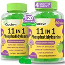 (2 Packs) Phosphatidylserine 600mg Gummis, Gehirnergänzung für Speicher, Fokus und Konzentration - Phosphatidylserine Memory Supplement mit Alpha GPC, B6 & B12 für Gehirn und kognitiv, 120 Gummies