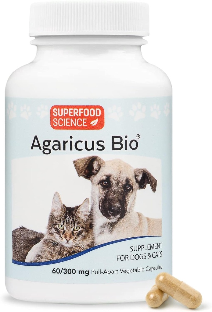 Agaricus Bio 300mg für Canines und Felines, Beta Glucan Mushroom Pet Supplement zu erhöhen Critical Immune Defense & Cellular Health, Antioxidantes Pulver, Energieunterstützung für alte Hunde und Katzen, 60 Mützen
