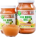 Wildcrafted Irish Sea Moss Gel | Made in USA | Rich in Vitamine & Minerals | Sea Moss Gel Raw | Nutritional Supplement | Apple (16 oz)