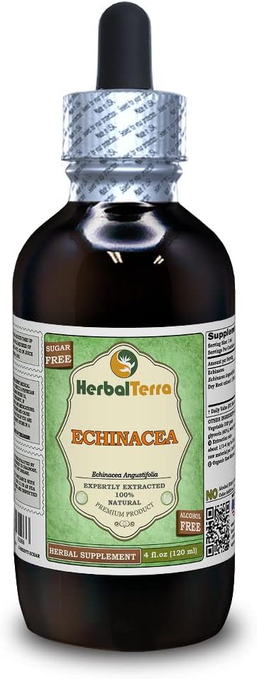 Echinacea (Echinacea Angustifolia) Glycerit, Organic Dried Root Alcohol-Free Liquid Extract (Markenname: HerbalTerra, Proudly Made in USA) 4 fl.oz (120 ml)