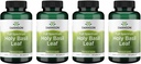Swanson Holy Basil Leaf (Tulsi) - Stress Support und Wohlbefinden Beilage - (120 Kapseln, 800mg pro Servierung) (4 Packung)