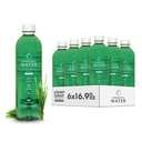 Chlorophyll Wasser – Flüssiges Chlorophyll 6-Pack (16.9oz) | Beauty-Getränk für strahlende Haut, Anti-Aging & Sauerstoff Boost | Vitamine A, B12, C, D | Vitamin Water | Clean Label | Hydration Support