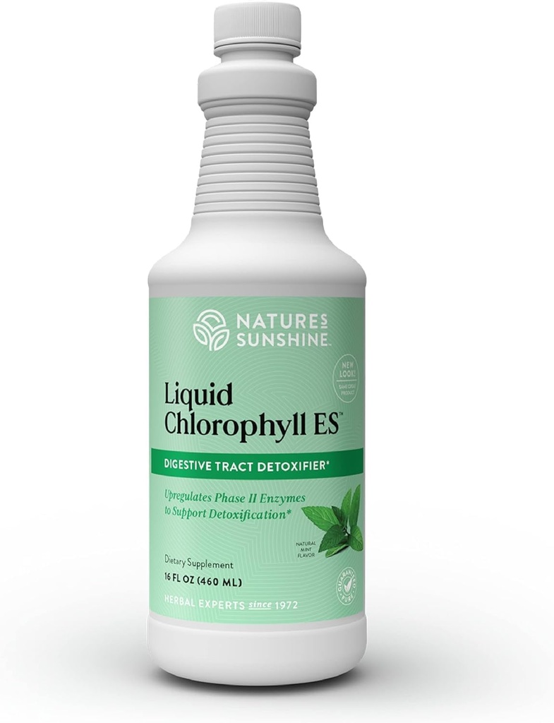 Nature's Sunshine Liquid Chlorophyll Extra Strength - Immunitätsunterstützung, Detox & Cleanse, Chlorophyll Liquid Drops mit Spearmint Oil, Natural Energy Boost, interner Deodorant - 16 Fl Oz