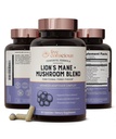 Live Conscious Lions Mane Mushroom Supplement Kapseln für Gehirnunterstützung w/Lion's Mane, Cordyceps, Reishi und Türkei Tail Mushrooms - Kognitive Memory Supplement für Gehirn
