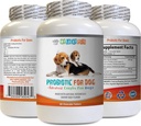 probiotisches Relief für Hunde - Hund PROBIOTICS - Bad Breath and Passing Gas Solution - Oral Health - Dog acidophilus - 1 Flasche (60 Bäume)