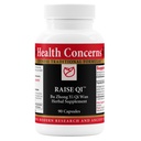 Health Concerns Raise Qi – Energy & Immune System Support – Bu Zhong Yi Qi Wan Formula – Astragalus, Ginseng & Dong Quai Herbal Supplement for Weakness, Digestion & Yang Qi Balance – 90 Capsules
