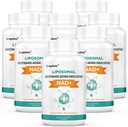 Orgabay Liposomal NAD+ Ergänzung 500 mg, hohe Absorption, Boost NAD+ mit TMG 250 mg, Actual NAD Plus Mehr Efficient Than Nicotinamid Riboside, Unterstützung Cellular Energy, Healthy Aging | 480 Softgels