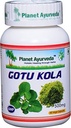 Planet Ayurveda Gotu Kola, 500mg Veg Kapseln-Single Flasche